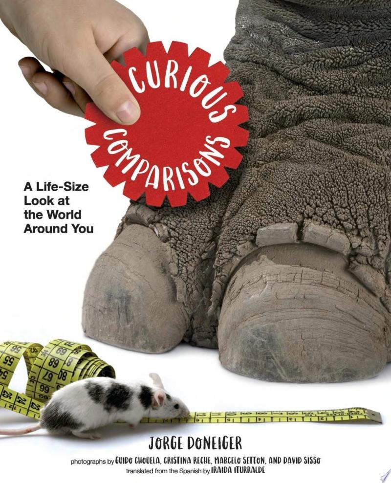 Image for "Curious Comparisons: A Life-Size Look at the World Around You"
