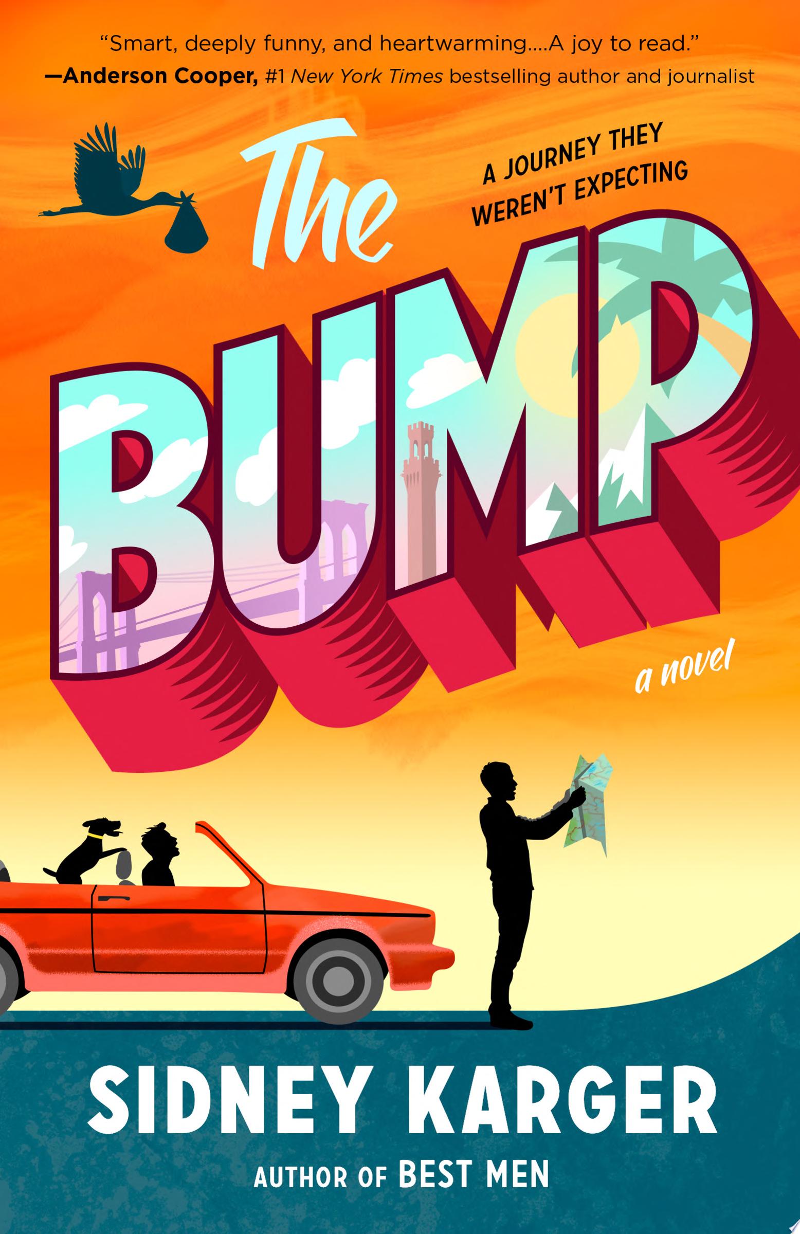 Image for "The Bump"