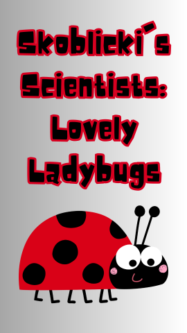 Gray gradient background with cartoon ladybug image. Text reads "Skoblicki's Scientists: Lovely Ladybugs".