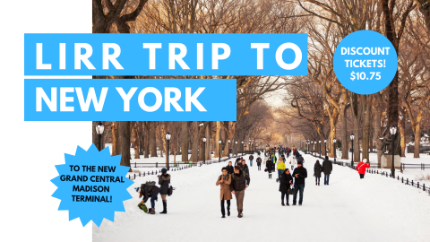 photo of central park in the snow