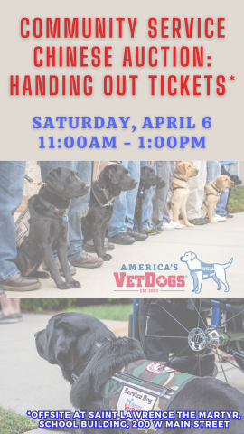 vetdog logo with pictures of black and yellow labs working and program details