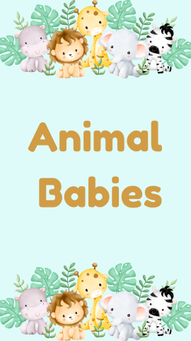 Light green with images of animals and leaves bordering the top and bottom. Gold text reads "Animal Babies".