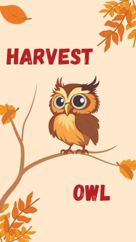 Pastel orange with images of orange leaves and an owl on a branch. Burnt red text reads "Harvest Owl".