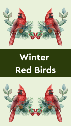 Pastel green background with images of cardinals on branches. White text reads "Winter Red Birds" on a dark green banner.