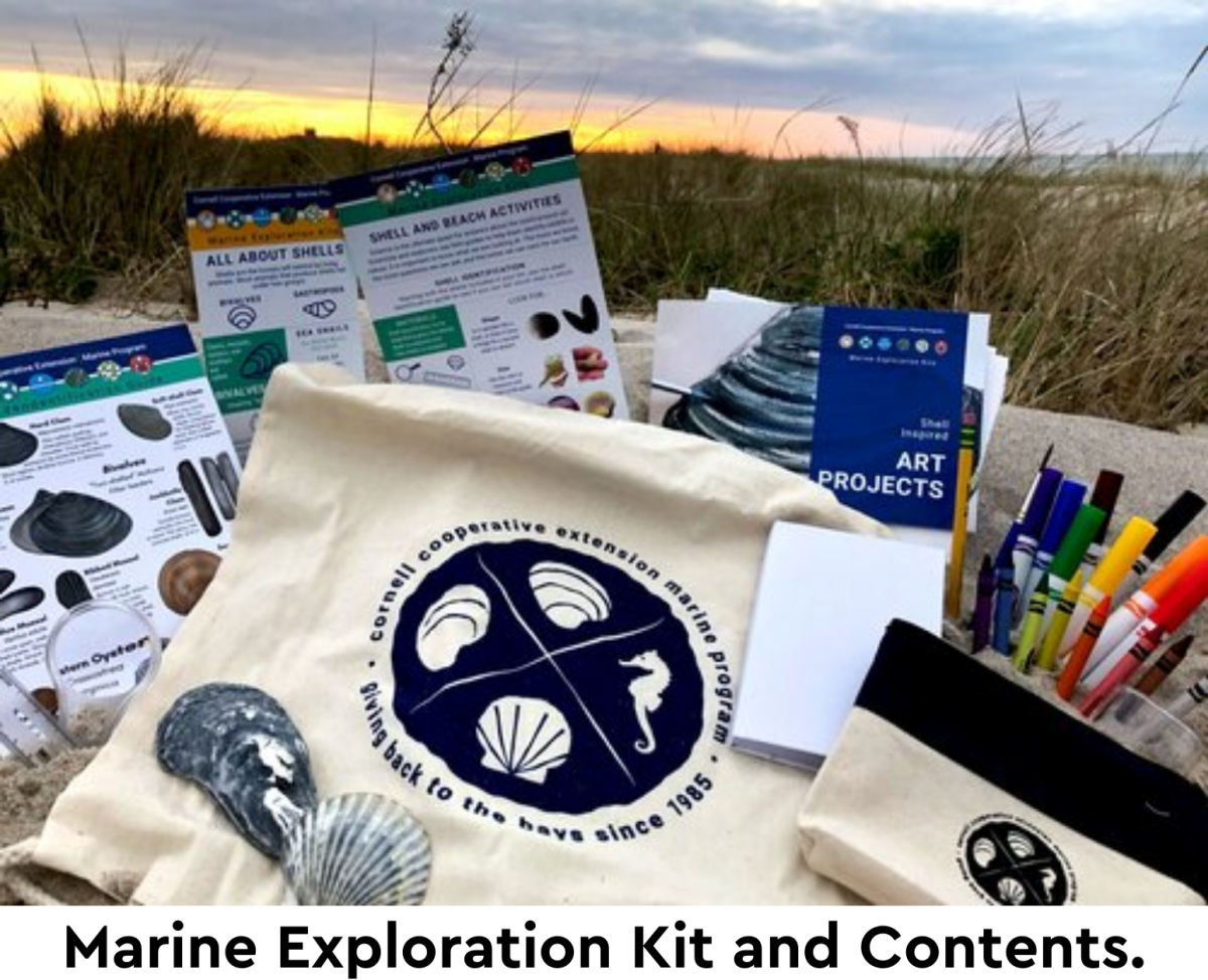 Picture of Marine Exploration Kit and Contents.