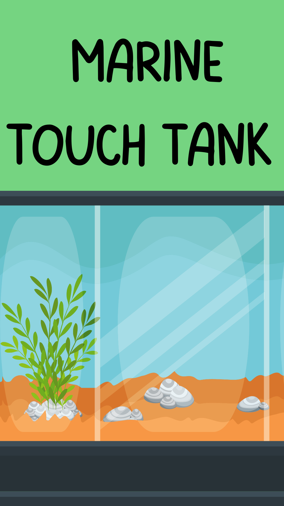 touch tank