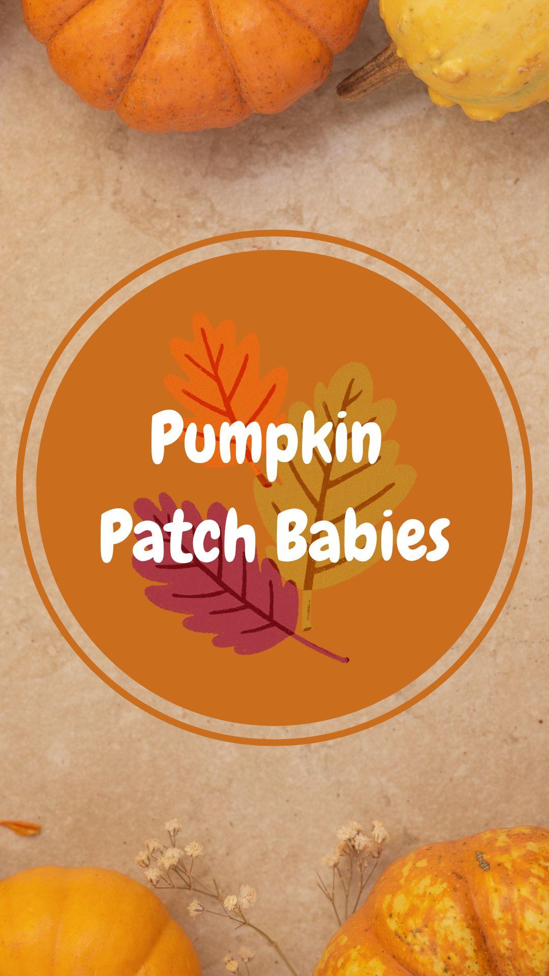 Beige stone pattern with pumpkin on the top and bottom edges background. White text reads "Pumpkin Patch Babies" in an orange circle with three leaves (orange, green, and red).