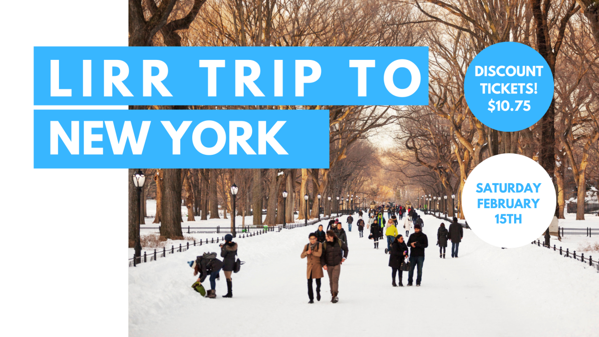 Central park in winter